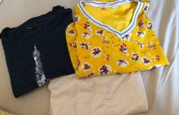 Set drie tshirts large - XL