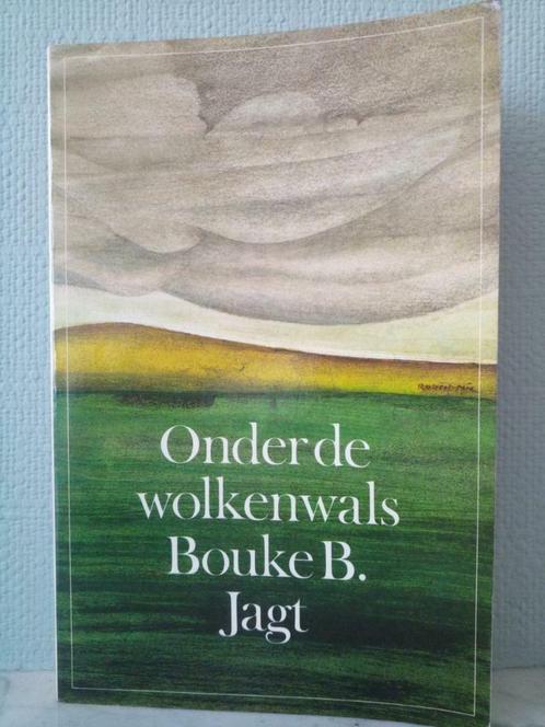 Sous la valse des nuages - Bouke B. Jagt, Livres, Littérature, Comme neuf, Pays-Bas, Enlèvement ou Envoi