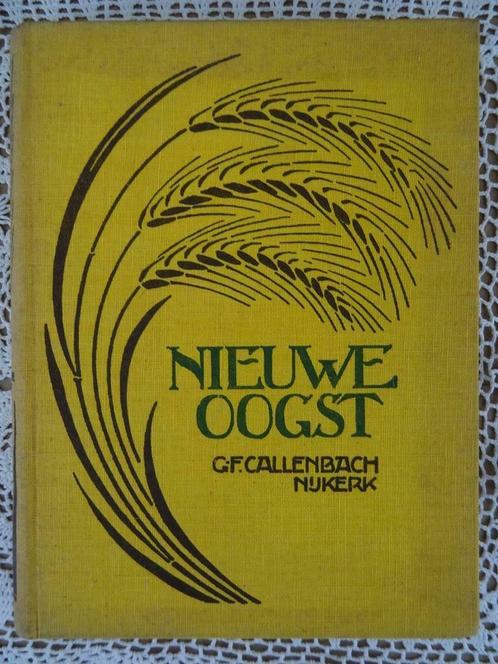 Antiek boek Nieuwe Oogst een bundel novellen 1e druk 1932, Antiek en Kunst, Antiek | Boeken en Manuscripten, Ophalen of Verzenden