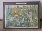 oude poster waterplanten, Ophalen, Gebruikt, Met lijst, Rechthoekig Liggend