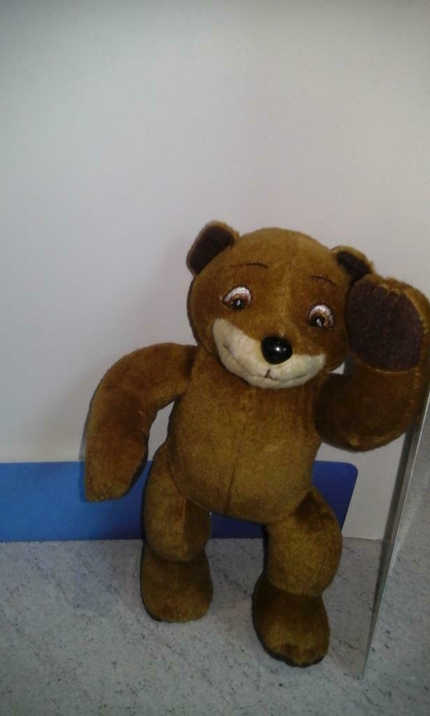 Martin beer - Franklin the Turtle - pluche, Verzamelen, Beren en Cherished Teddies, Ophalen of Verzenden