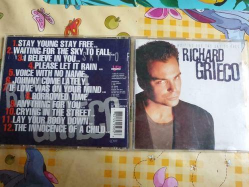 richard grieco - waiting for the sky to fall, CD & DVD, CD | Autres CD, Utilisé, Enlèvement ou Envoi