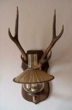 wandlamp (lamp met gewei), Ophalen of Verzenden