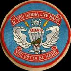 Amerikaanse Badge, Armée de l'air, Enlèvement ou Envoi