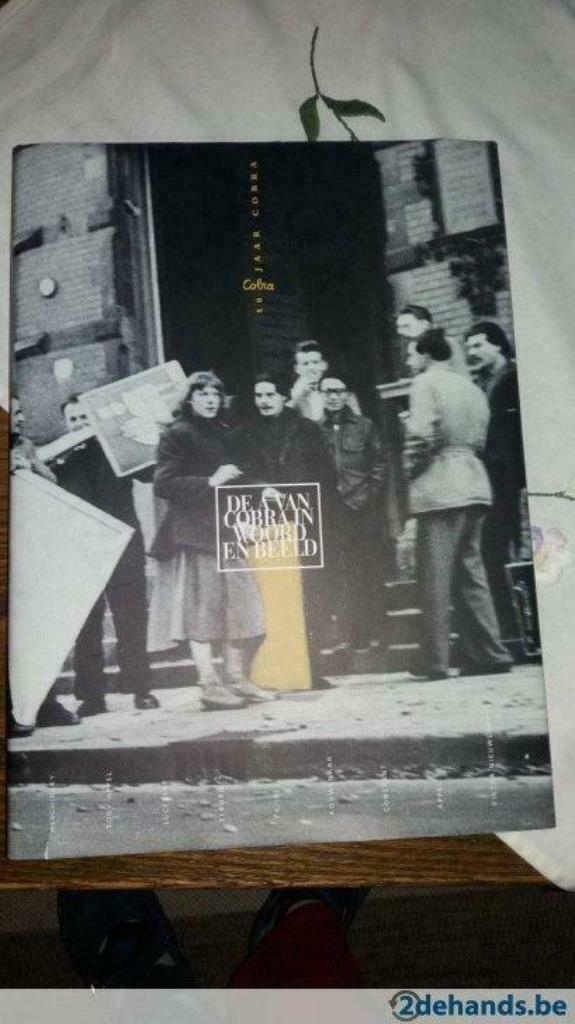 Boek "De A van Cobra" in woord en beeld, Livres, Histoire mondiale, Comme neuf, Enlèvement ou Envoi