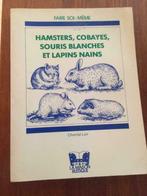 Hamster, Cobayes et Lapins nains, Animaux & Accessoires, Enlèvement ou Envoi