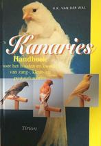 Kanaries, H.K.Van Der Wal, Enlèvement, Oiseaux