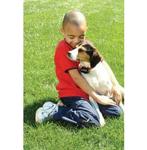 Petsafe Antiblafhalsband PBC19-10765 - bestseller, Animaux & Accessoires, Accessoires pour chiens, Enlèvement ou Envoi, Neuf