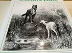 Gustave Doré Fable de La Fontaine, Gustave Doré, 480pag, 380, Livres, Comme neuf, Autres sujets/thèmes, Enlèvement ou Envoi