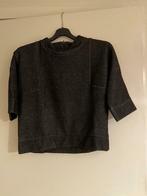 Donkergrijze trui, Kleding | Dames, Truien en Vesten, Maat 38/40 (M), Ophalen of Verzenden, Zo goed als nieuw, CKS
