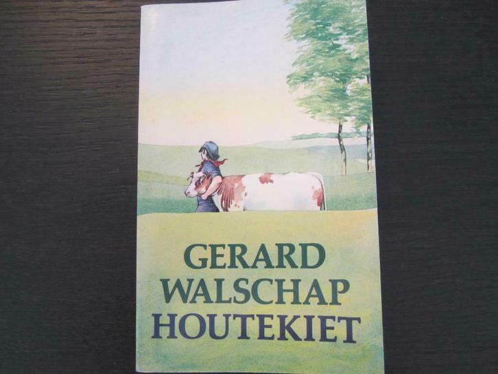 Houtekiet  (Gerard Walschap), Boeken, Literatuur, Zo goed als nieuw, Ophalen of Verzenden
