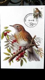 FIRST DAY OP KAART- VOGELS VAN BUZIN- DE ZANGLIJSTER, Ophalen of Verzenden, Gestempeld, Dier of Natuur