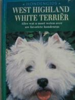 Hondengids / West  Highland White Terrier