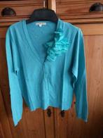 gilet Gigue, Kleding | Dames, Truien en Vesten, Overige kleuren, Ophalen of Verzenden, Gedragen, Gigue