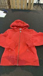 Gymp gilet 140, Kinderen en Baby's, Kinderkleding | Maat 140, Gebruikt, Meisje, Trui of Vest, Ophalen of Verzenden