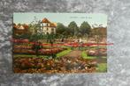 Postkaart Jardin des roses, Saverne, Frankrijk, Collections, Cartes postales | Étranger, France, Non affranchie, Enlèvement ou Envoi
