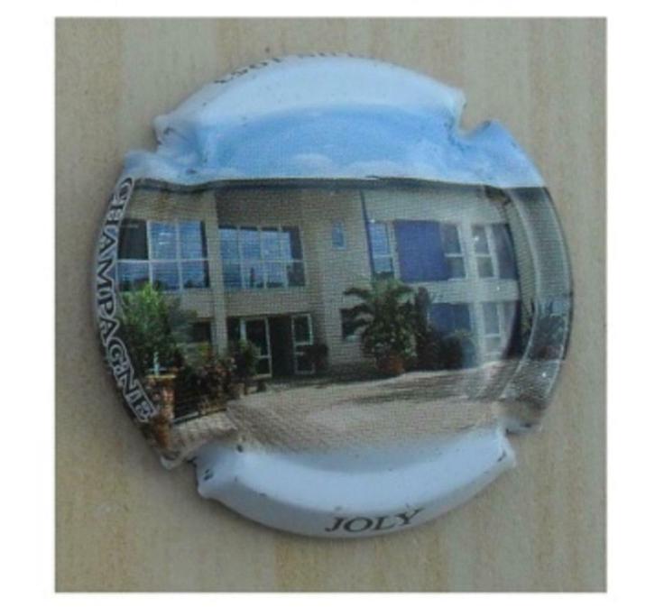 Champagne capsules - Joly 15 (L 6581), Verzamelen, Overige Verzamelen, Gebruikt, Verzenden