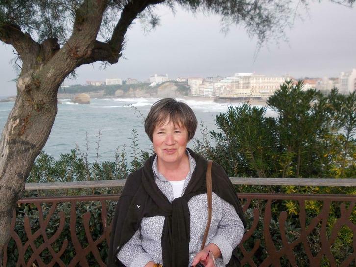 Cours particuliers anglais, néerlandais, allemand, Diensten en Vakmensen, Bijles, Privé-les en Taalles, Bijles, Remedial teaching