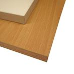 Meubelpaneel | panelen | planken | paneel | beige | beuken, Doe-het-zelf en Bouw, Ophalen, Nieuw, Hout