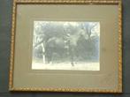 c1920 fotograaf EDMOND DUBOIS antieke foto DE PANNE te paard, Antiek en Kunst, Ophalen of Verzenden