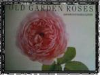Old garden roses, Engels boek, Boeken, Natuur, Gelezen, Ophalen of Verzenden, Bloemen, Planten en Bomen