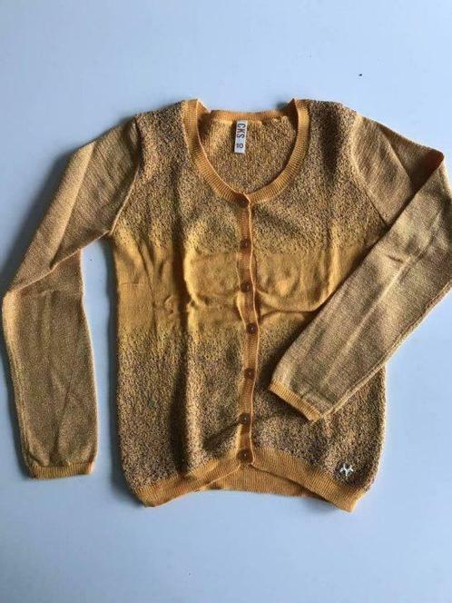 Prachtig vestje van CKS - 10 jaar - NIEUW, Kinderen en Baby's, Kinderkleding | Maat 140, Nieuw, Meisje, Trui of Vest, Ophalen of Verzenden