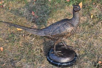 Grand faisan en bronze sur socle en marbre 