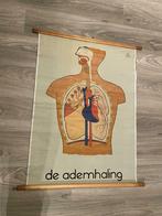 Oude schoolplaat op linnen “De ademhaling”, Antiek en Kunst, Ophalen of Verzenden