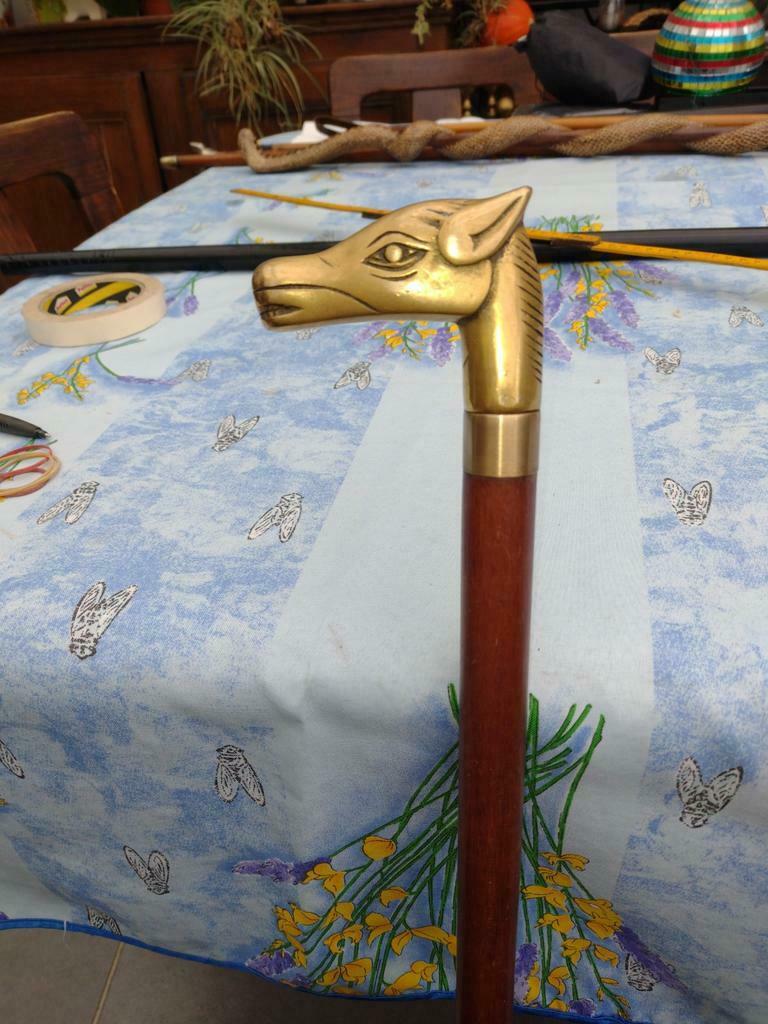 Canne  fiole, Antiquités & Art, Curiosités & Brocante, Enlèvement ou Envoi