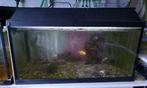 3 Aquariums van 60 x 30 x 30cm
