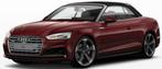 Audi diagnose, Autos : Divers, Accessoires de voiture, Enlèvement ou Envoi, Neuf