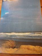 Onze Noordzee WWF 1. De duinen 2. De stranden 3. De fala, Ophalen of Verzenden, Nieuw, WWF, Prentenboek