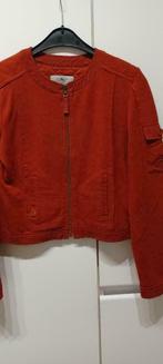 rood jasje M/38, Enlèvement ou Envoi, Comme neuf, Rouge, Manteau