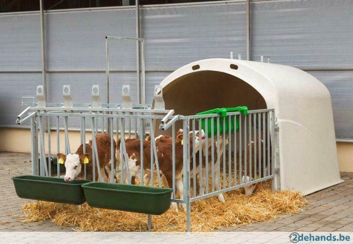 Kalveriglo kalverhut met/zonder hekken,Agrodieren knalprijs, Zakelijke goederen, Landbouw | Werktuigen, Veehouderij, Stalinrichting