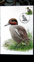 FIRST DAY OP KAART- VOGELS VAN BUZIN- DE WINTERTALING, Ophalen of Verzenden, Gestempeld, Dier of Natuur
