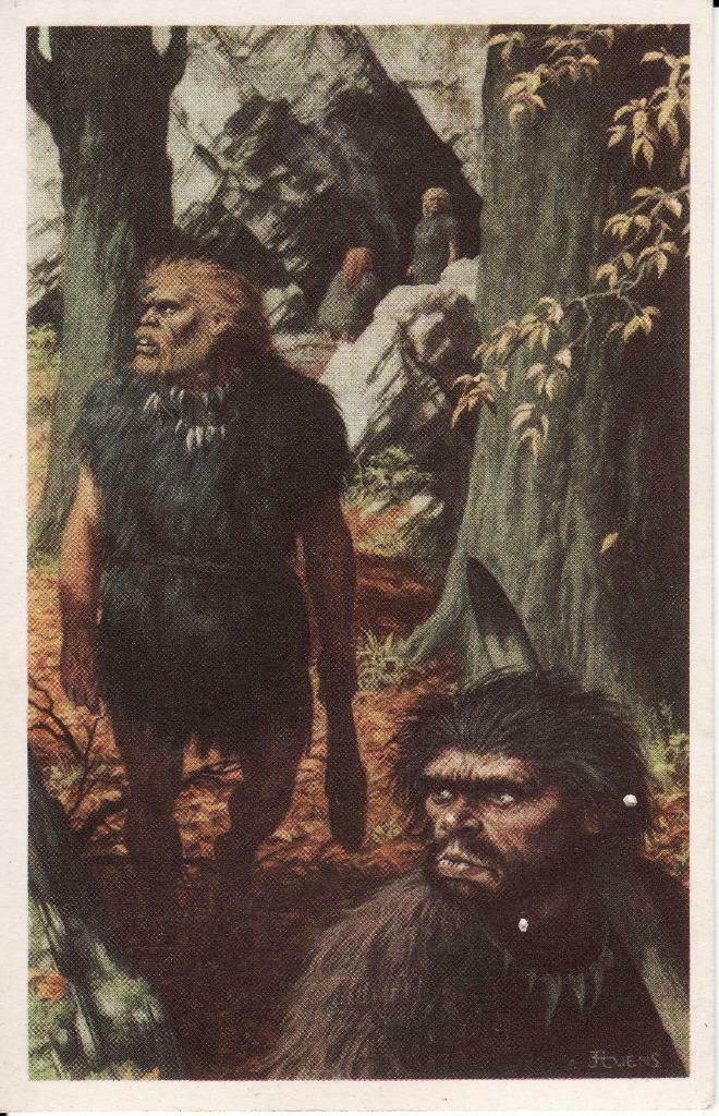 HISTORIA - CHROMO'S - 's LANDS GLORIE, Verzamelen, Foto's en Prenten, Zo goed als nieuw, Prent, Overige onderwerpen, 1940 tot 1960