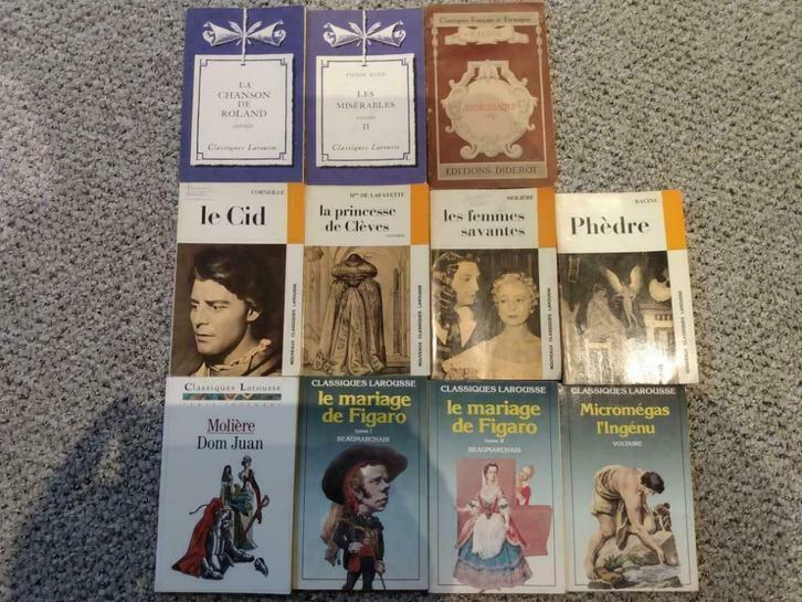 Littérature classique - Classiques Larousse, Boeken, Schoolboeken, Gelezen, Frans, Overige niveaus, Ophalen