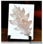 herbier feuille  dans cadre vitré, Enlèvement ou Envoi