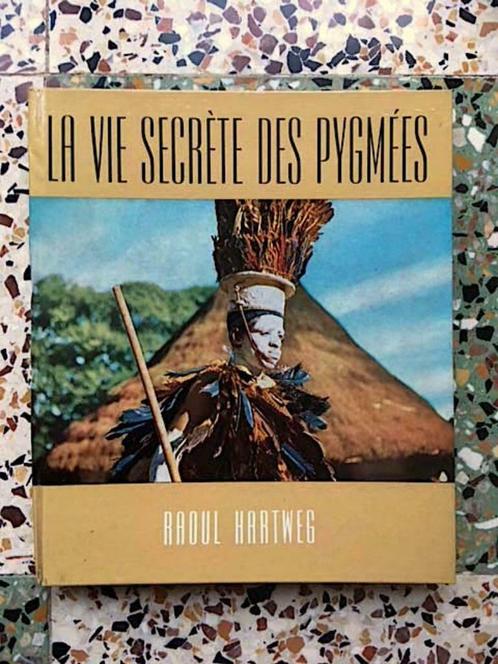 Civilisation - La vie secrète des Pygmées (Raoul Hartweg), Livres, Livres pour enfants | Jeunesse | 10 à 12 ans, Utilisé, Non-fiction