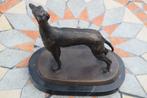 Bronze animalier (le lévrier), Enlèvement ou Envoi, Bronze