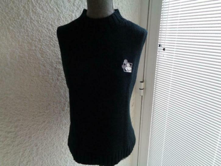 Pull noir sans manches "Disney" taille M, Vêtements | Femmes, Pulls & Gilets, Comme neuf, Taille 38/40 (M), Noir, Enlèvement ou Envoi