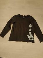 Lot 349: t-shirt lange mouwen jbc maat 116, Kinderen en Baby's, Ophalen of Verzenden, Gebruikt, Jongen, Shirt of Longsleeve