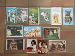 Set van 13 wenskaarten met honden - NIEUW, Collections, Cartes postales | Animaux, Chien ou Chat, Non affranchie, Envoi