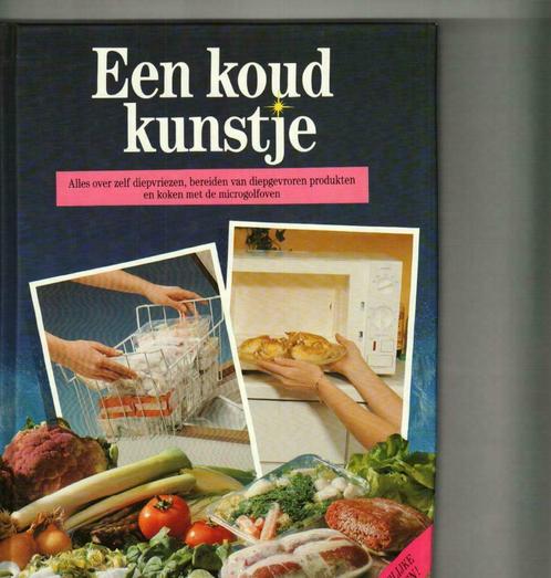 een koud kunstje alles over zelf diepvriezen J van der Kuyle, Livres, Livres de cuisine, Comme neuf, Enlèvement ou Envoi