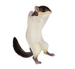 Safari LTD vliegende eekhoorn figurine XL 16.5 cm x 12.5 cm, Verzamelen, Poppetjes en Figuurtjes, Nieuw, Ophalen of Verzenden