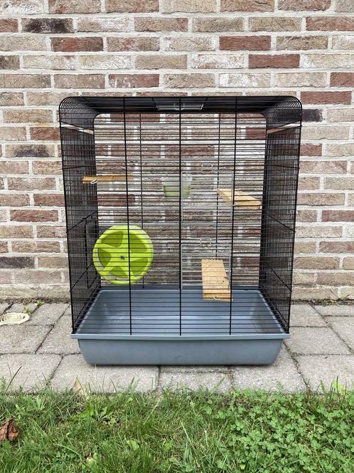 Hamster/caviakooi, Dieren en Toebehoren, Knaagdieren en Konijnen | Hokken en Kooien, Zo goed als nieuw, Kooi, 60 tot 90 cm, Minder dan 75 cm