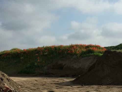 Aanvulgrond, Jardin & Terrasse, Sable, Comme neuf, Enlèvement ou Envoi