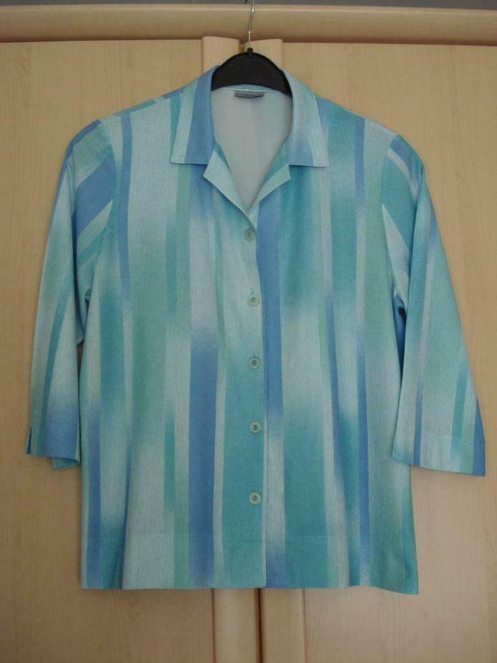 chemisier, Kleding | Dames, Blouses en Tunieken, Gedragen, Maat 42/44 (L), Overige kleuren, Ophalen