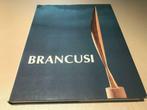 Constantin Brancusi Sculptures 210pag., Boeken, Kunst en Cultuur | Beeldend, Ophalen of Verzenden, Zo goed als nieuw