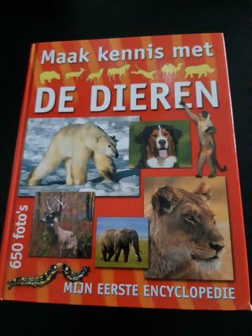 Corel - Maak kennis met de dieren beschikbaar voor biedingen
